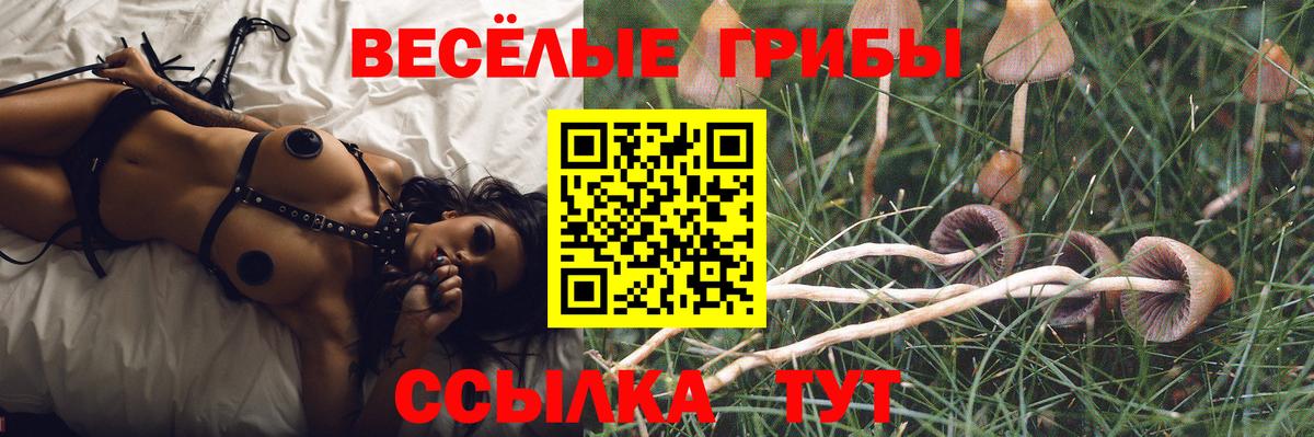 Лобня  Галлюциногенные грибы GOLDEN TEACHER  Псилоцибиновые грибы MAGIC MUSHROOMS  Вход с VPN 