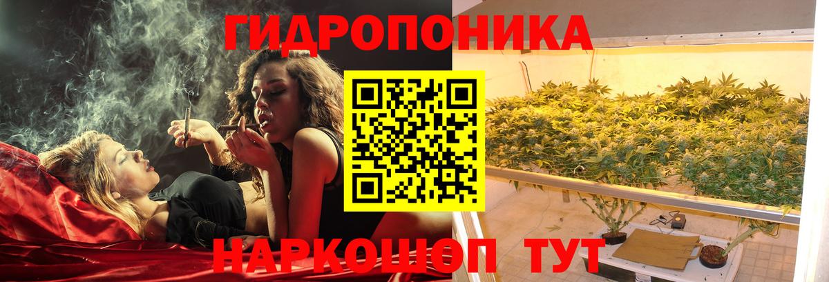 Бошки марихуана конопля Лобня
